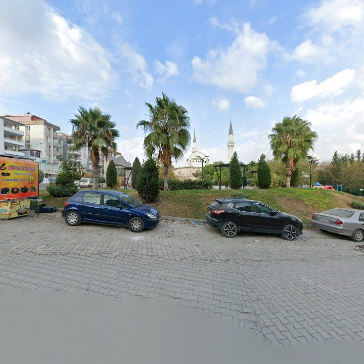 Fotoğraf 9
