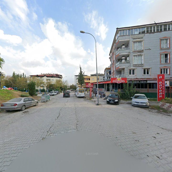 Fotoğraf 10