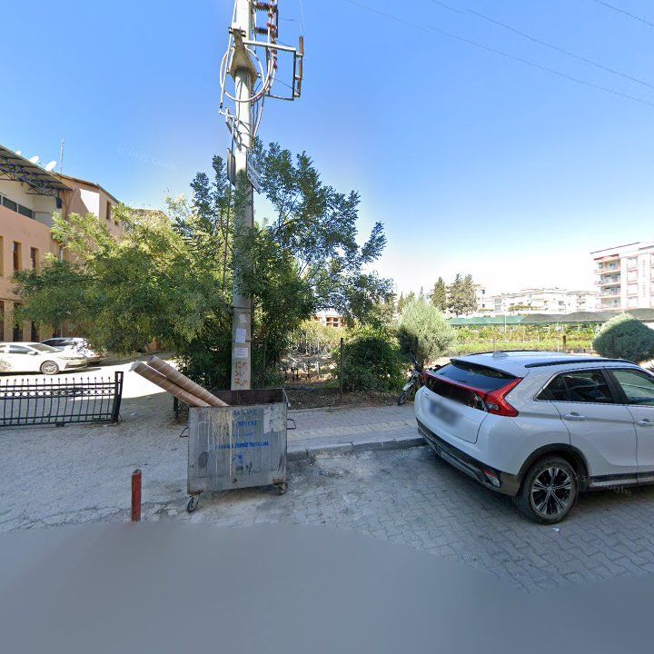 Fotoğraf 10