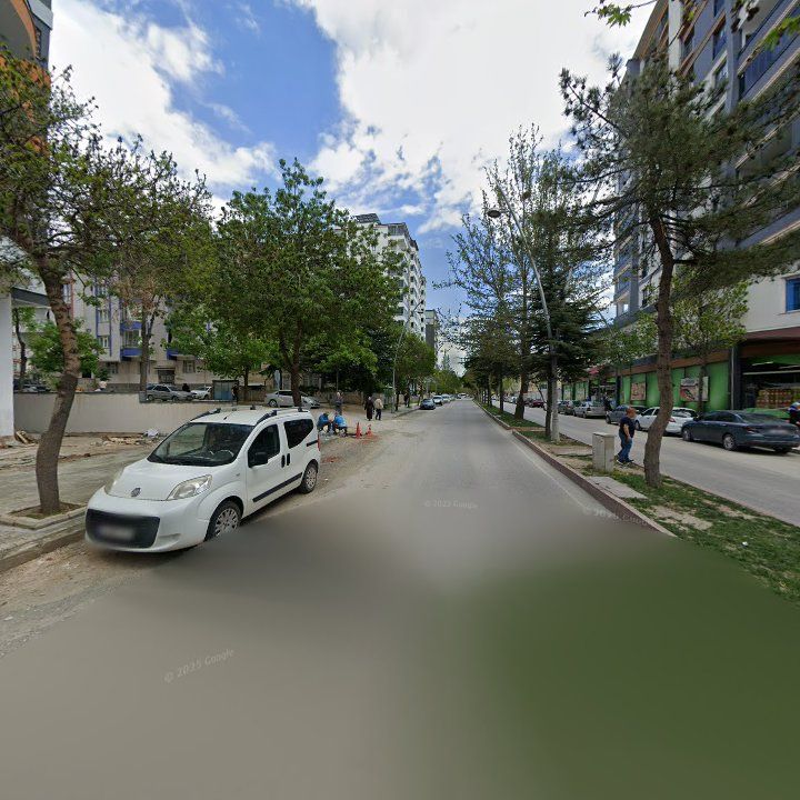 Fotoğraf 9