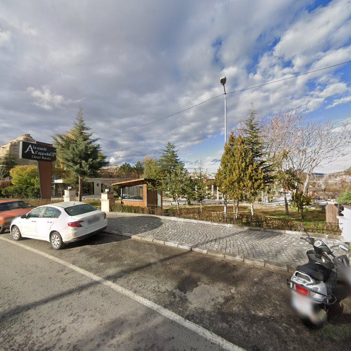 Fotoğraf 8