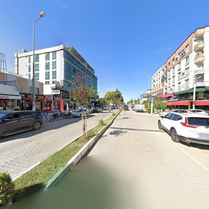 Fotoğraf 11