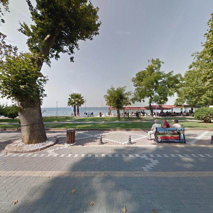 Fotoğraf 8