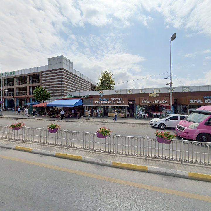 Fotoğraf 5