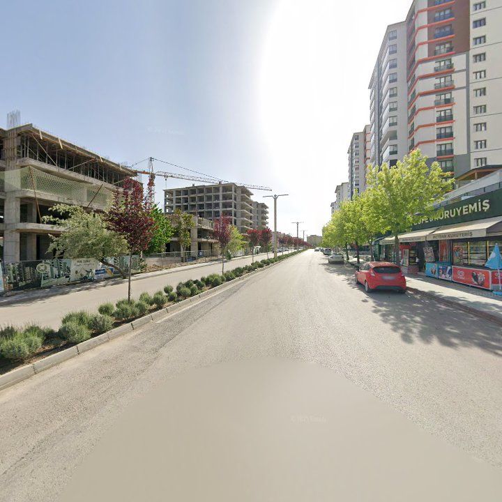 Fotoğraf 10