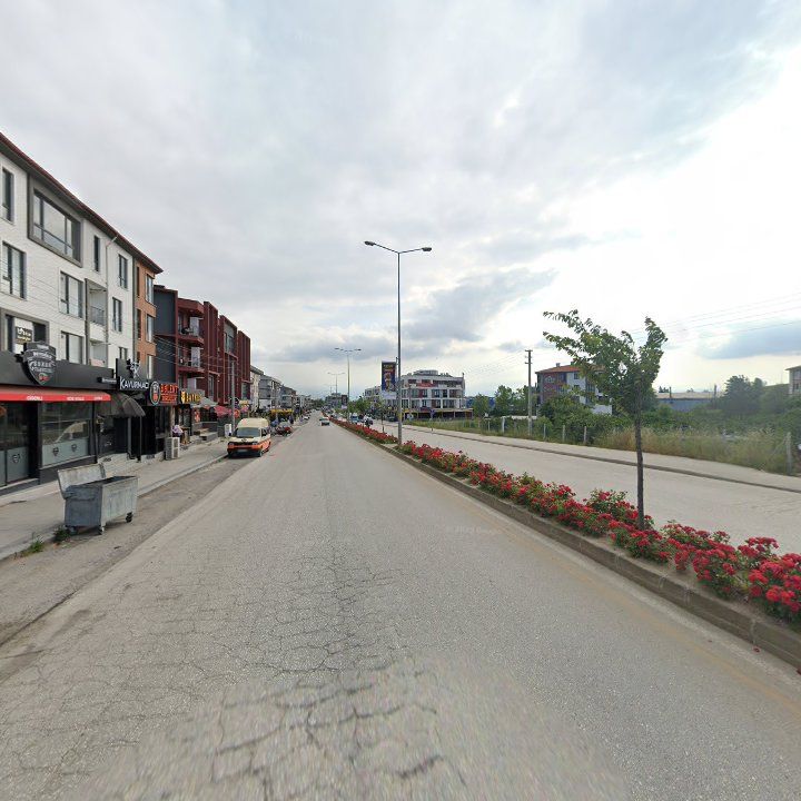 Fotoğraf 7