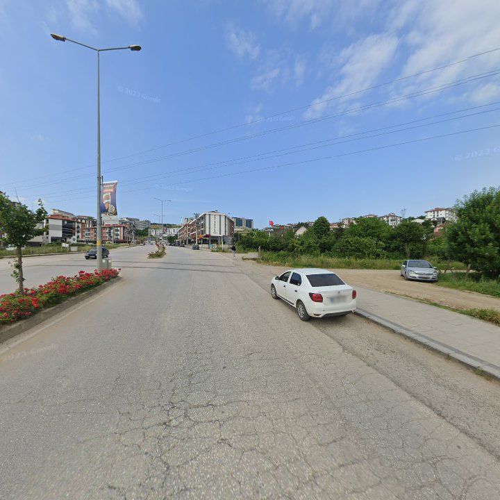 Fotoğraf 9