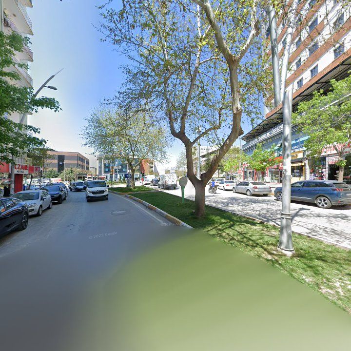 Fotoğraf 11