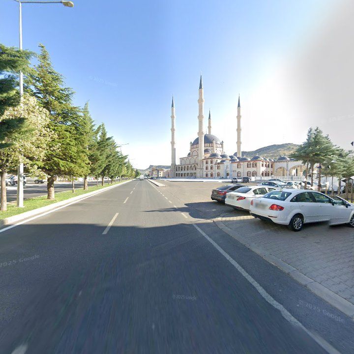 Fotoğraf 13