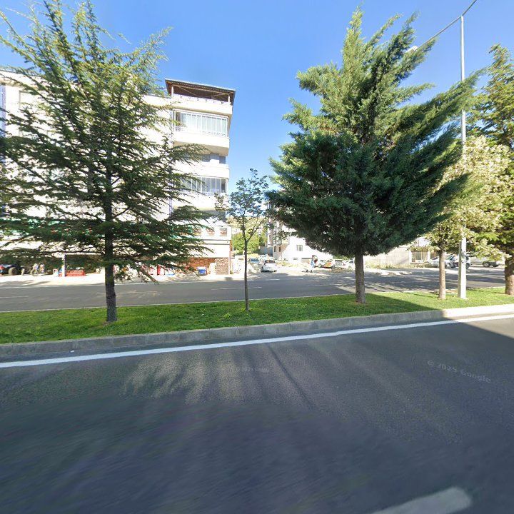 Fotoğraf 12