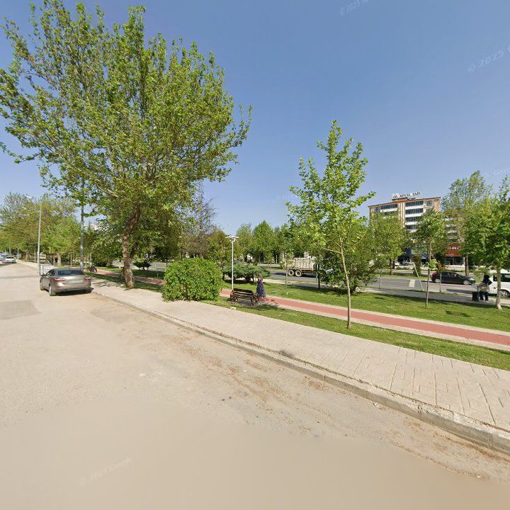 Fotoğraf 9