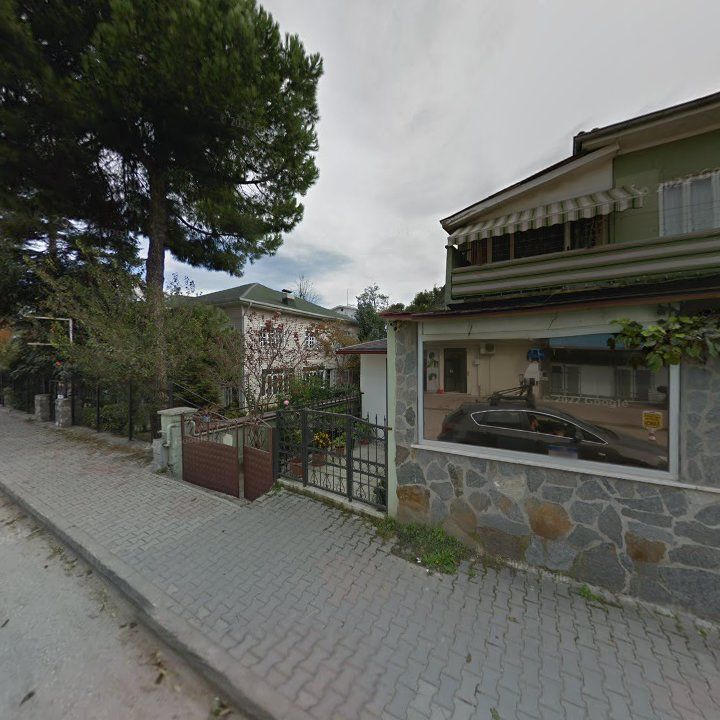 Fotoğraf 10