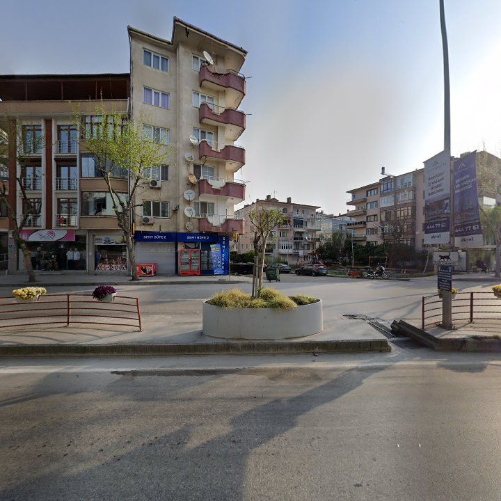 Fotoğraf 9