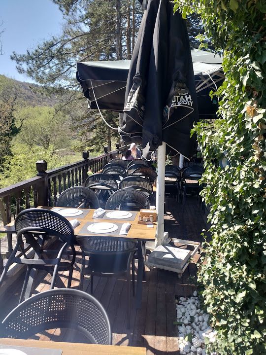 Tc Kütahya Belediyesi Ağaçköy Restoran