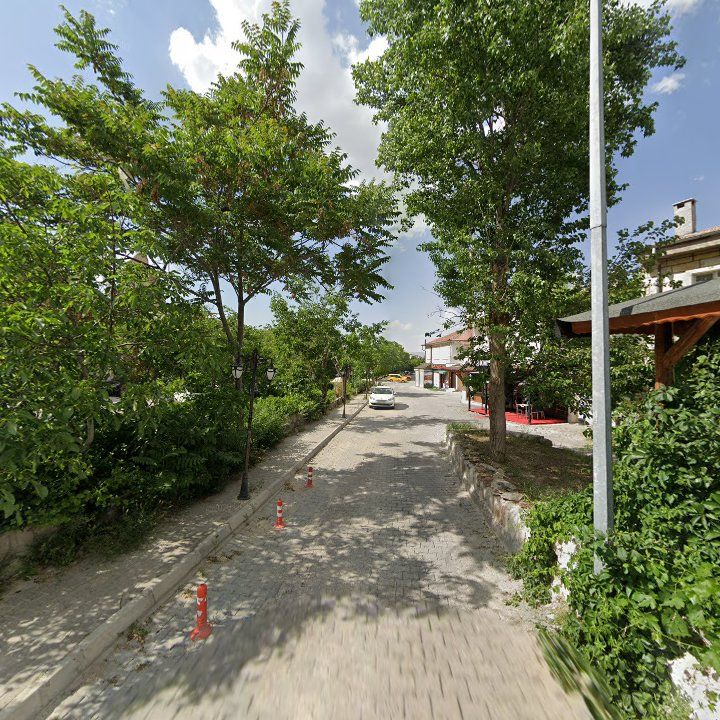 Fotoğraf 14
