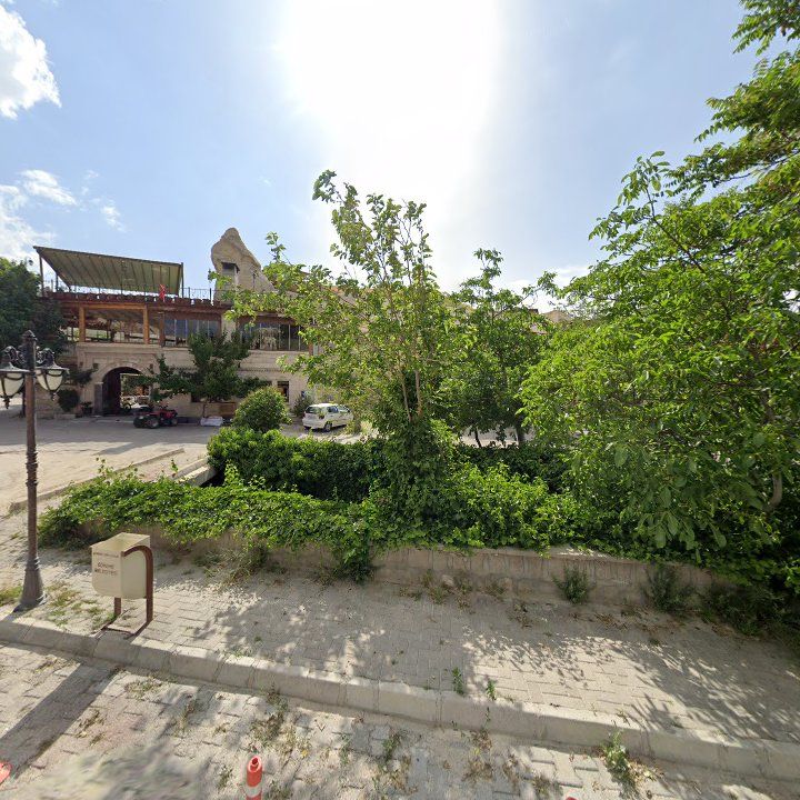 Fotoğraf 13