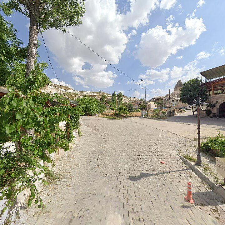 Fotoğraf 12