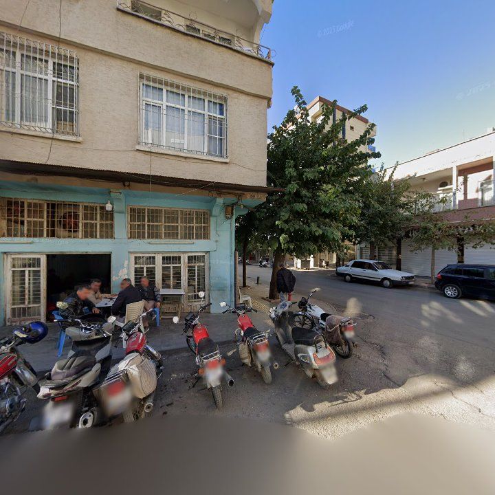 Fotoğraf 4