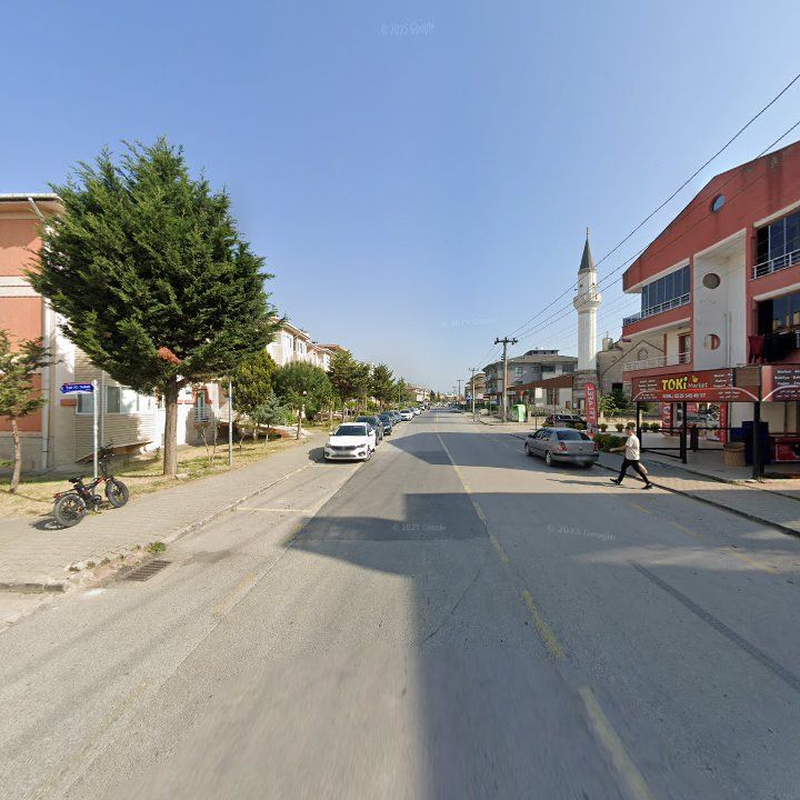 Fotoğraf 9