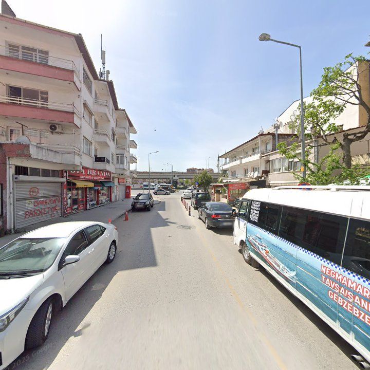 Fotoğraf 11