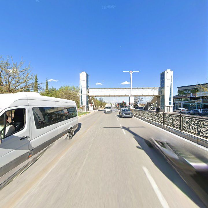 Fotoğraf 11