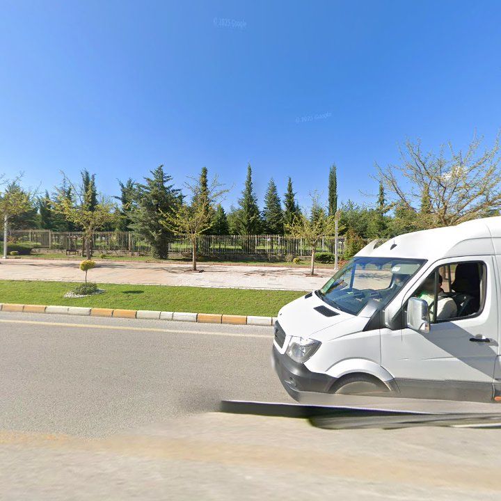 Fotoğraf 10
