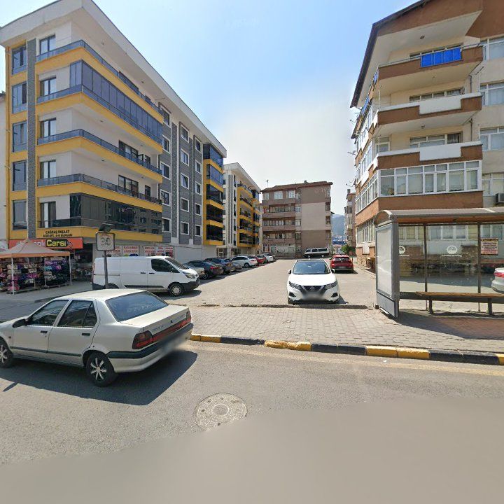 Fotoğraf 5