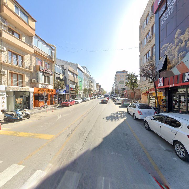 Fotoğraf 10