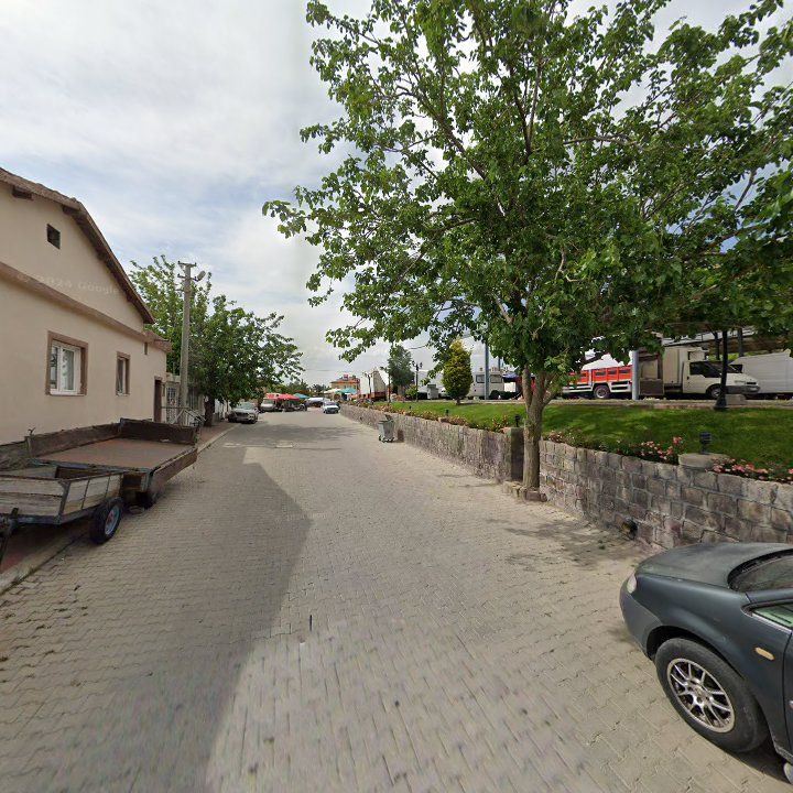 Fotoğraf 12
