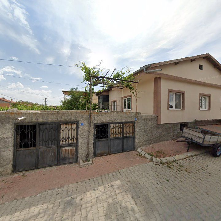 Fotoğraf 11