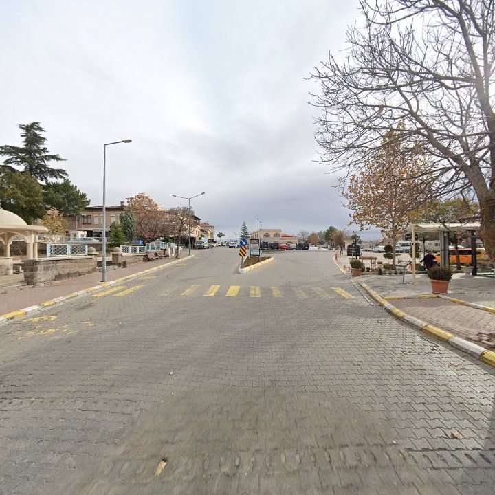 Fotoğraf 12