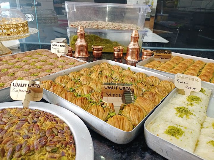 Fotoğraf 7