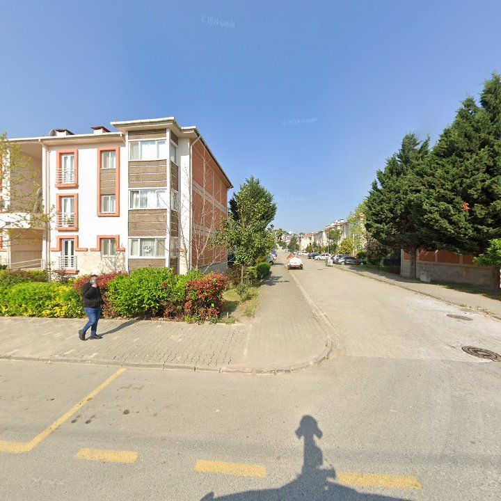 Fotoğraf 11