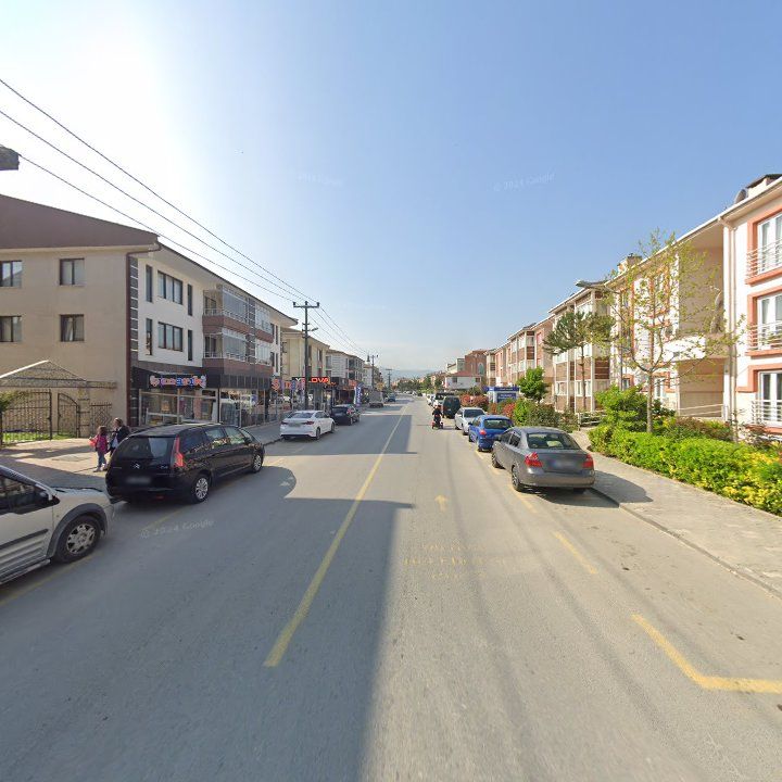 Fotoğraf 10