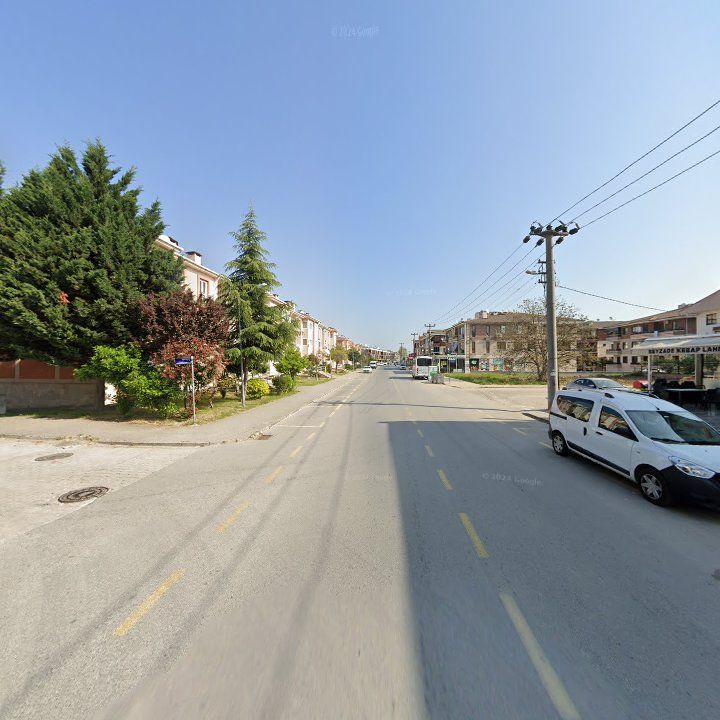 Fotoğraf 12