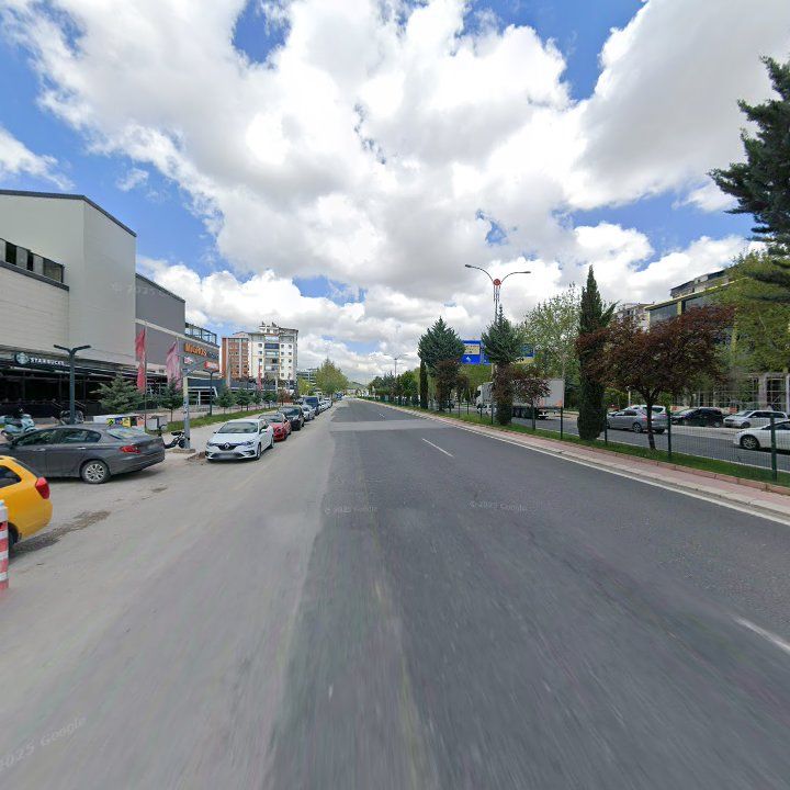 Fotoğraf 7