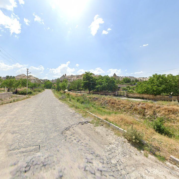 Fotoğraf 10