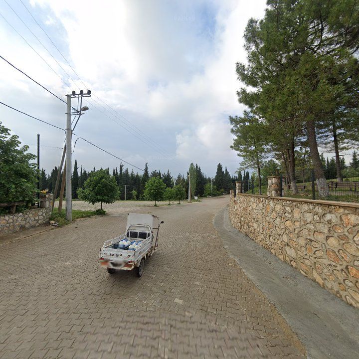 Fotoğraf 8