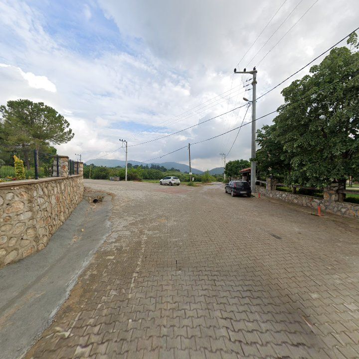 Fotoğraf 10