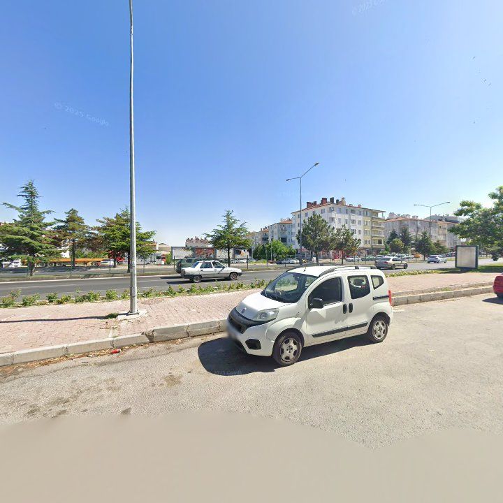 Fotoğraf 12