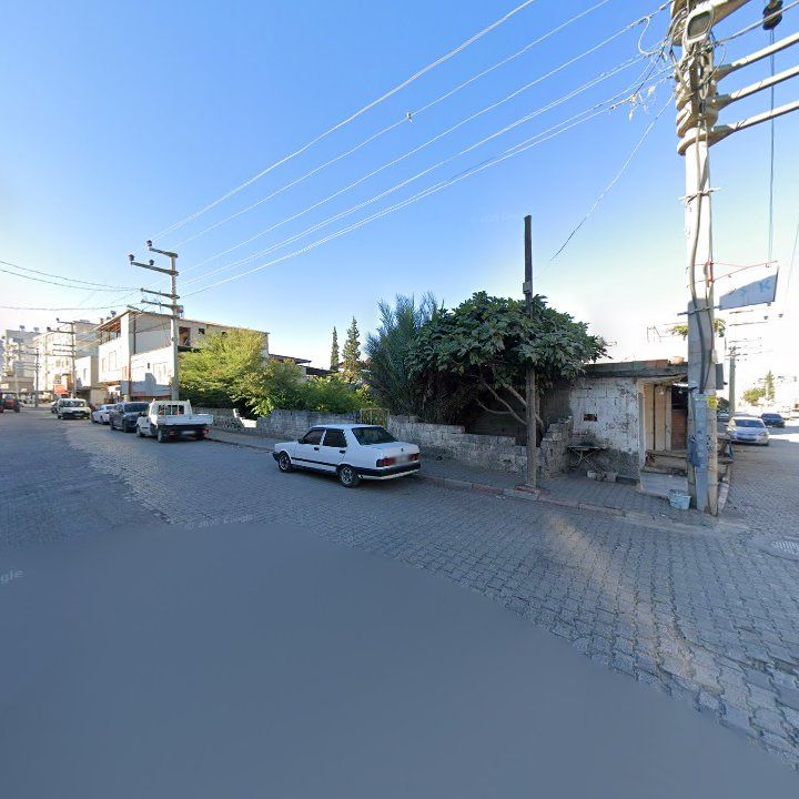 Fotoğraf 3