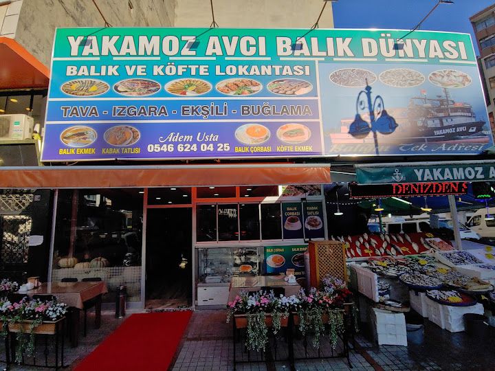 Yakamoz 53 Balık Dunyası