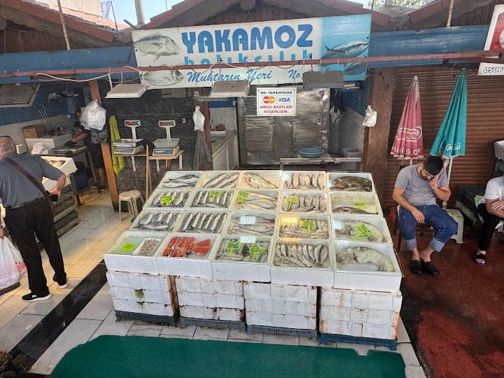 Yalova Balık Hali
