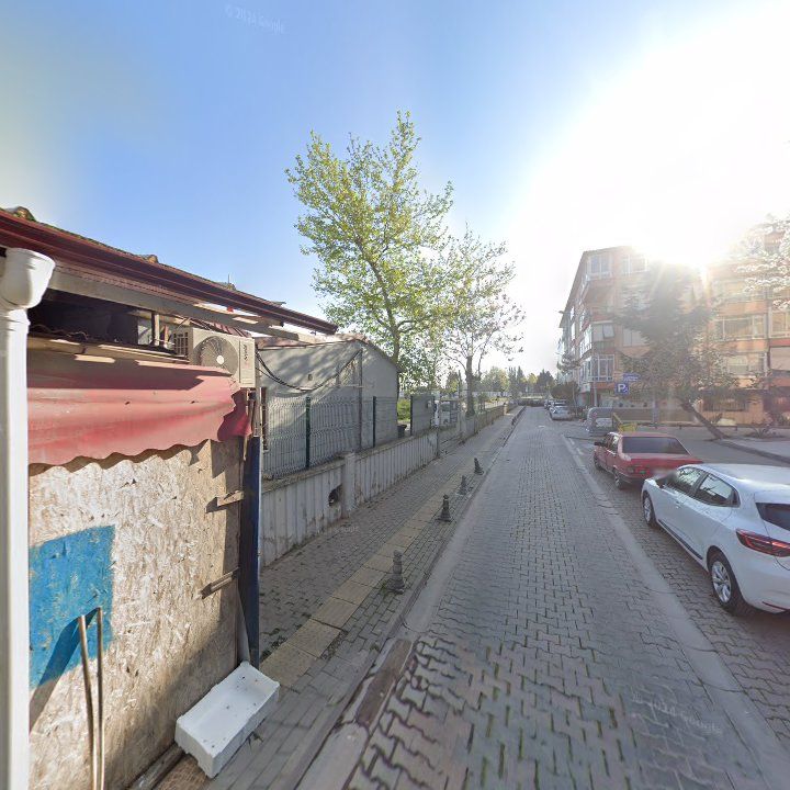 Fotoğraf 7