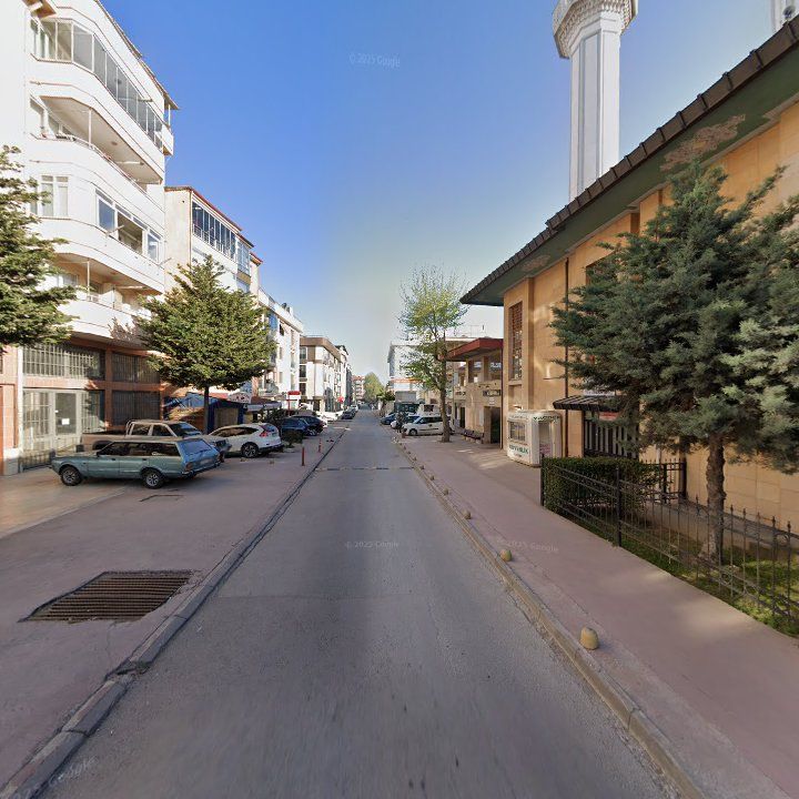 Fotoğraf 10
