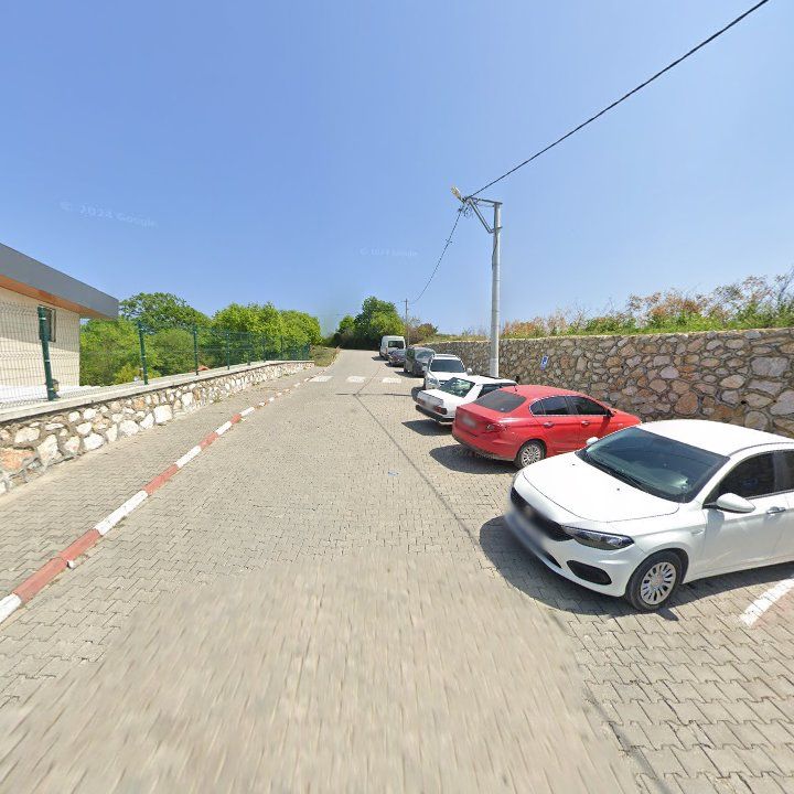 Fotoğraf 10
