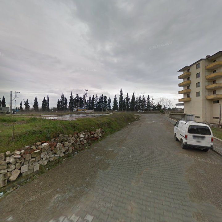 Fotoğraf 7