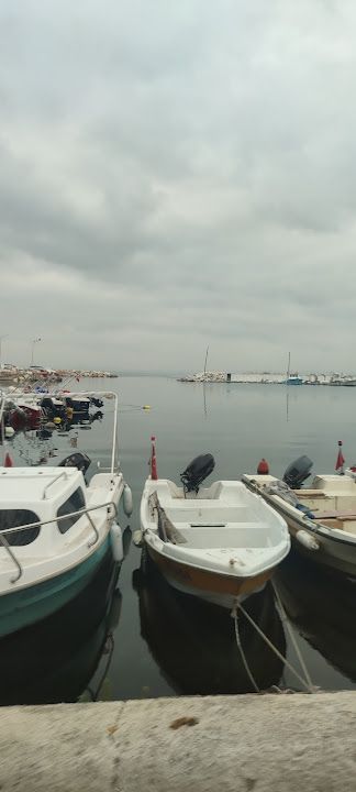 Yalova Merkez İlçe Su Ürünleri Kooperatifi