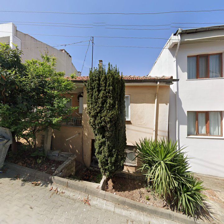 Fotoğraf 6
