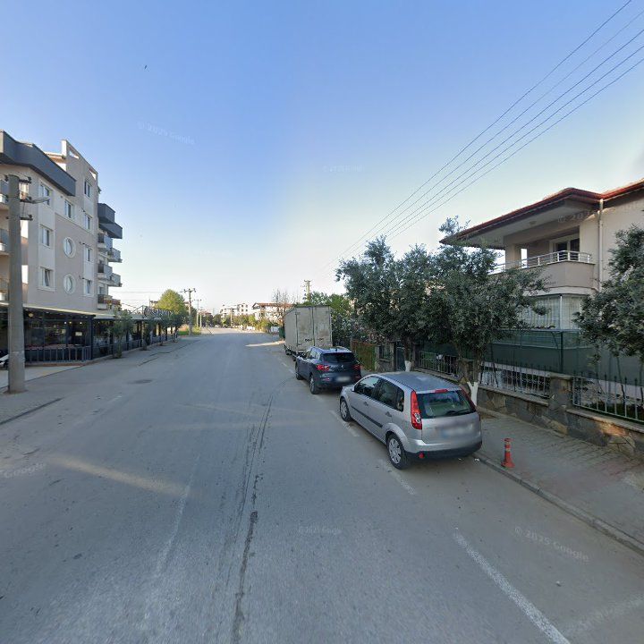 Fotoğraf 11